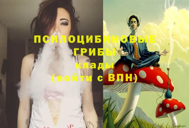 Псилоцибиновые грибы GOLDEN TEACHER  Олонец 